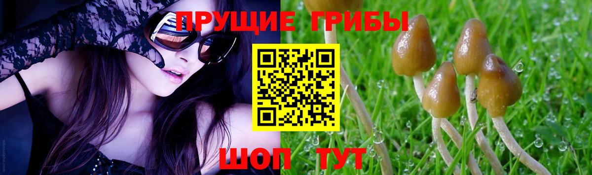 Галлюциногенные грибы Cubensis  купить наркоту  Лесозаводск 